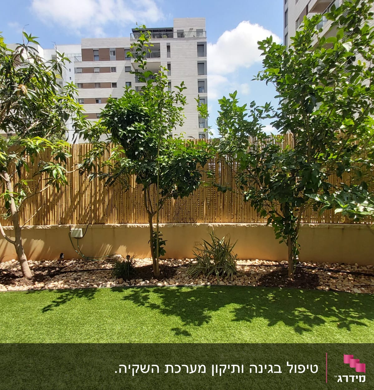 עצים ושיחים בגינה עם דשא מלאכותי וגדר במבוק